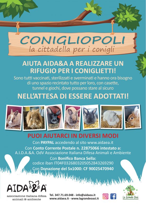 Locandina-Aidaea-Rifugio-Conigli-web