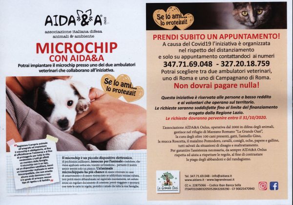 locandina microchip con Aida&a 001