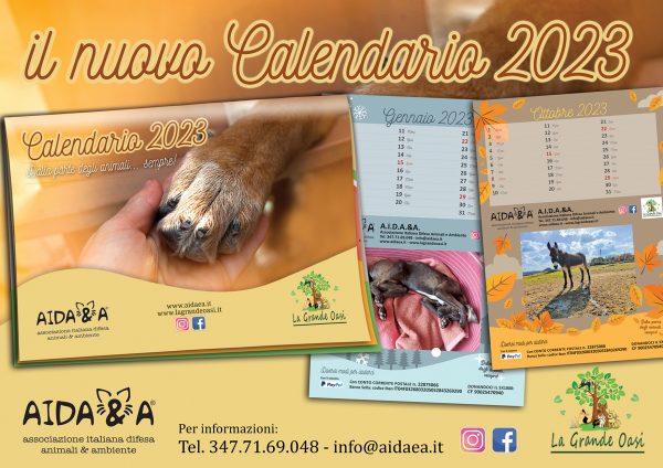Locandina Annuncio Calendario Aidaea 2023 social